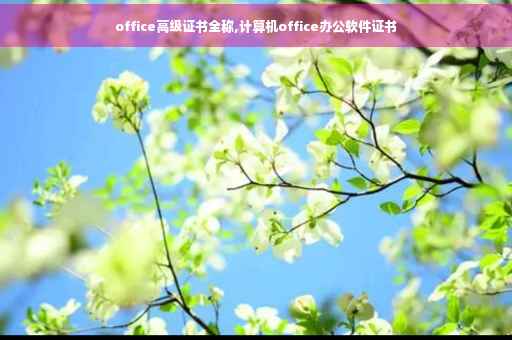 office高级证书全称,计算机office办公软件证书