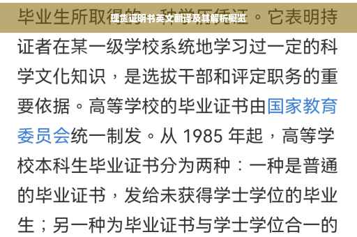 理货证明书英文翻译及其解析概览