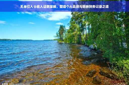 无单位人士收入证明策略，塑造个人品牌与明晰财务记录之道
