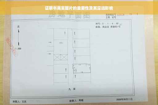 证明书真实图片的重要性及其深远影响