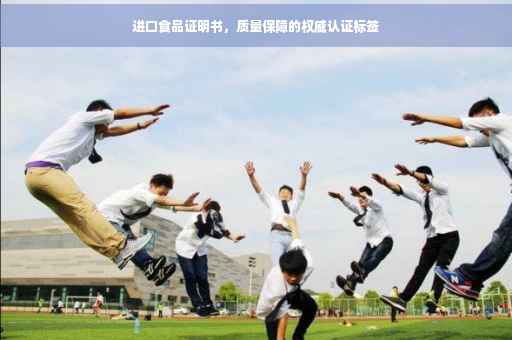 进口食品证明书，质量保障的权威认证标签