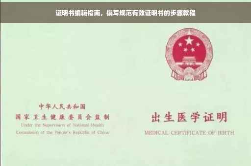 证明书编辑指南，撰写规范有效证明书的步骤教程
