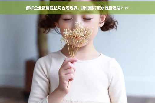 解析企业数据隐私与合规边界，提供银行流水是否违法？??