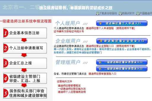 独立抚养证明书，单亲家庭的坚韧成长之旅