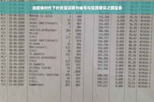 自媒体时代下的资信证明书编号与信用建设之路探索