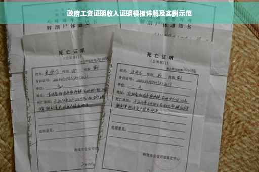 政府工资证明收入证明模板详解及实例示范