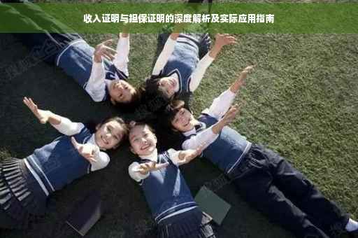 收入证明与担保证明的深度解析及实际应用指南