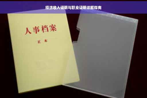 经济收入证明与职业证明详解指南