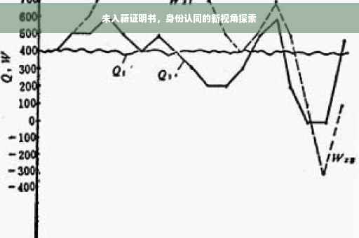 未入籍证明书，身份认同的新视角探索