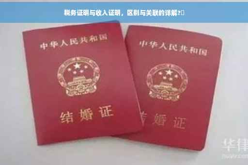 税务证明与收入证明，区别与关联的详解?✨