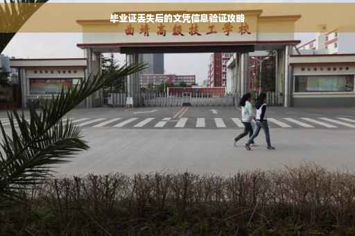 毕业证丢失后的文凭信息验证攻略