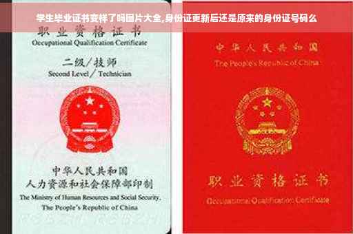 学生毕业证书变样了吗图片大全,身份证更新后还是原来的身份证号码么