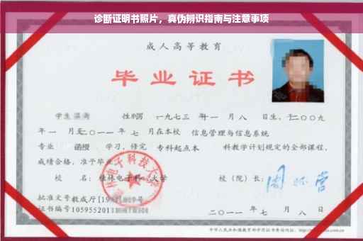 诊断证明书照片，真伪辨识指南与注意事项