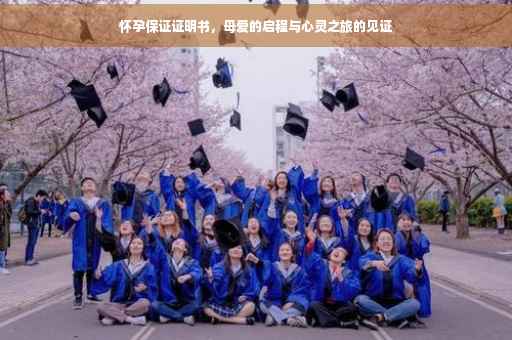 怀孕保证证明书，母爱的启程与心灵之旅的见证