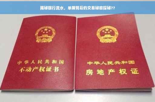 揭秘银行流水，单据背后的交易秘密探秘??