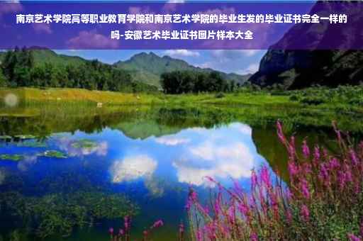 南京艺术学院高等职业教育学院和南京艺术学院的毕业生发的毕业证书完全一样的吗-安徽艺术毕业证书图片样本大全