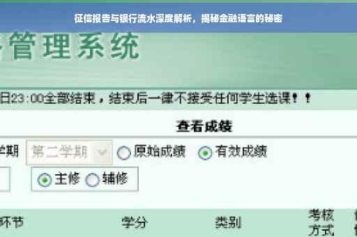 征信报告与银行流水深度解析，揭秘金融语言的秘密