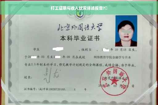 打工证明与收入状况详述报告?⚡