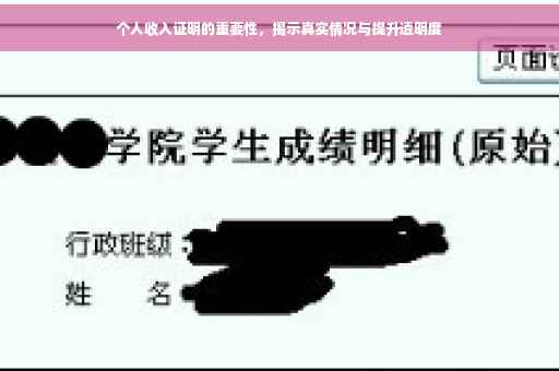 个人收入证明的重要性，揭示真实情况与提升透明度