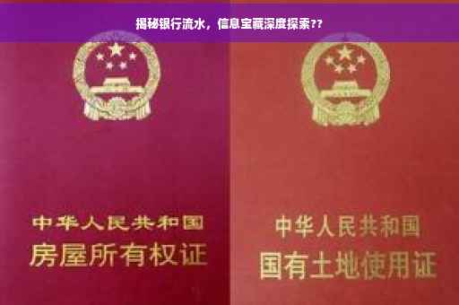 揭秘银行流水，信息宝藏深度探索??