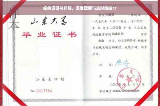 疾病证明书详解，深度理解与应对策略??