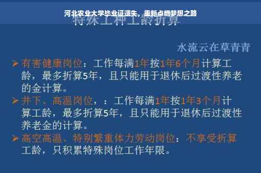 河北农业大学毕业证遗失，重新点燃梦想之路