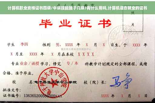 计算机职业资格证书四级/中级技能属于几级?有什么用吗,计算机适合就业的证书