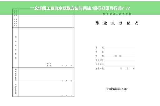 一文详解工资流水获取方法与用途?银行打印可行吗？??