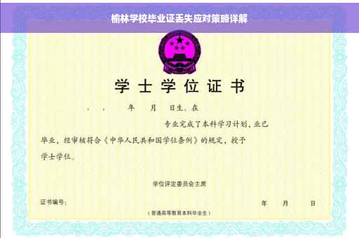 榆林学校毕业证丢失应对策略详解