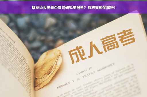 毕业证丢失是否影响研究生报名？应对策略全解析！
