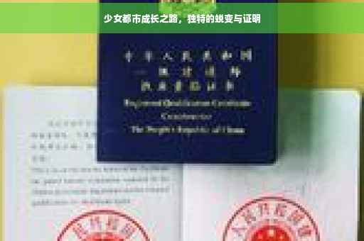 少女都市成长之路，独特的蜕变与证明