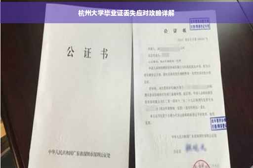 杭州大学毕业证丢失应对攻略详解
