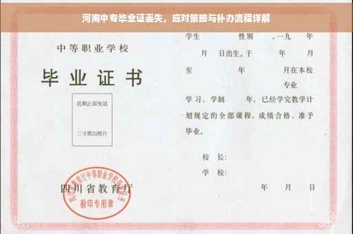 河南中专毕业证丢失，应对策略与补办流程详解