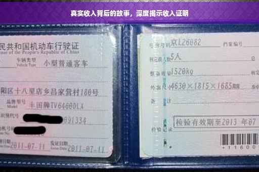 真实收入背后的故事，深度揭示收入证明
