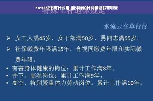 catt1证书有什么用-能评标的计算机证书有哪些