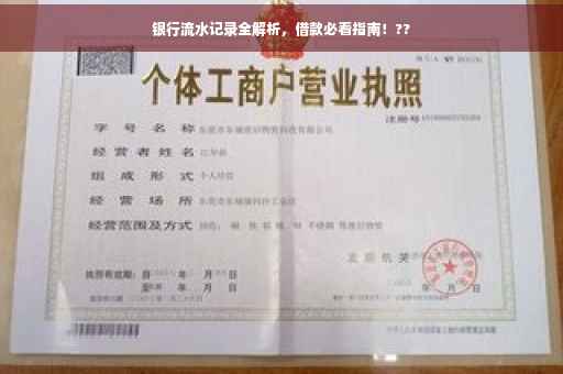 银行流水记录全解析，借款必看指南！??