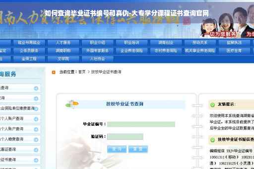 如何查询毕业证书编号和真伪-大专学分课程证书查询官网