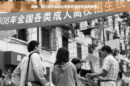 揭秘，银行流水金融公司能否查到背后的真相？