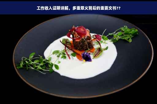 工作收入证明详解，多重意义背后的重要文书??