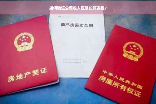 如何验证公司收入证明的真实性？