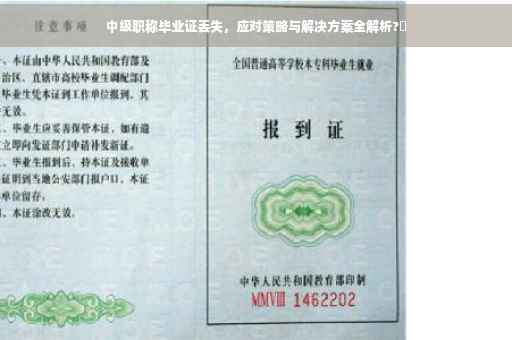 中级职称毕业证丢失，应对策略与解决方案全解析?✨