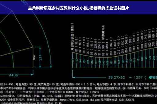 主角叫叶辰在乡村支教叫什么小说,杨老师的毕业证书图片