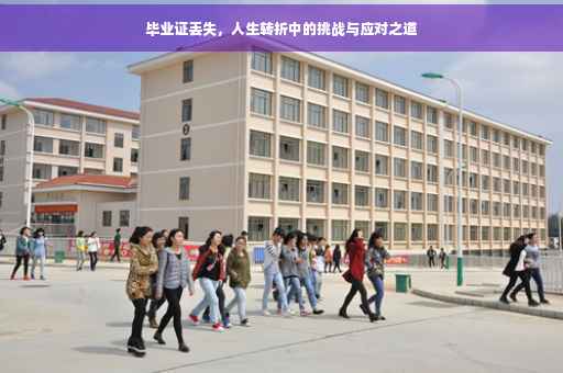 毕业证丢失，人生转折中的挑战与应对之道