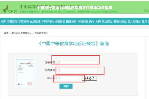 手机银行流水截图操作指南及注意事项全解析