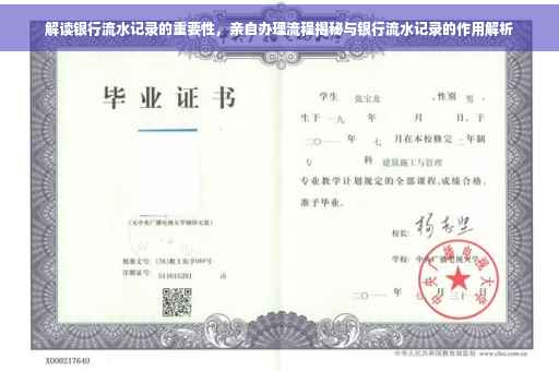 解读银行流水记录的重要性，亲自办理流程揭秘与银行流水记录的作用解析