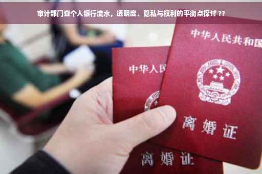 审计部门查个人银行流水，透明度、隐私与权利的平衡点探讨 ??
