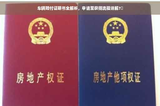 车辆赔付证明书全解析，申请至获得流程详解?✨