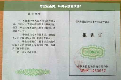 毕业证丢失，补办手续全攻略！
