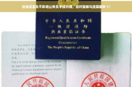 毕业证丢失不影响公务员手续办理，应对策略与流程解析 ?✨