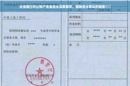 企业银行对公账户资金流水深度解析，揭秘流水背后的秘密?⚡️